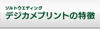 ソルトウエディング デジカメプリントの特徴